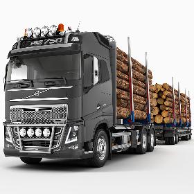 VOLVO FH Timber